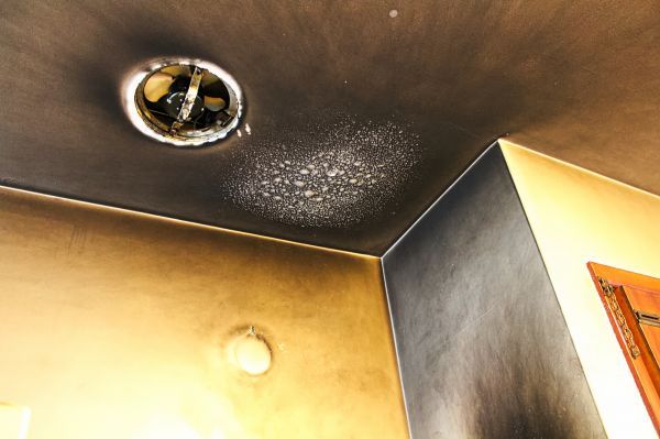 Smoke Damage Removal in Nampa